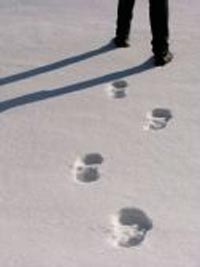 Canada snow footprints